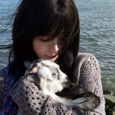 爱的笨猪跳